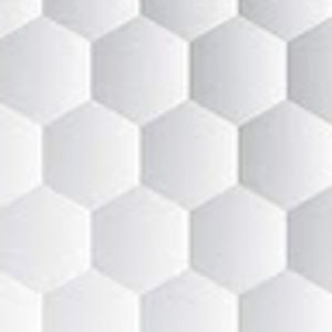 Meet your Posher, Lacey